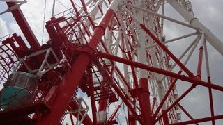 平日は空いています