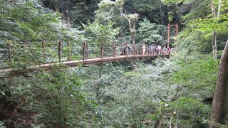 一応、登山を意識して出かけた方が、楽しめます。