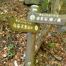 案内版があります