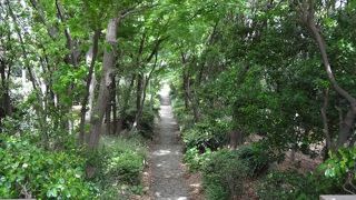 緑に覆われていました