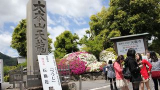 雲龍図で身を引きしめ、庭園で落ち着く雰囲気になるよ～