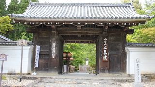 紅葉の馬場を散策すればリラックスして癒されます。