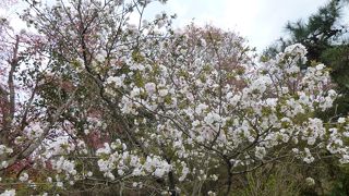 これが個人のお庭とは！