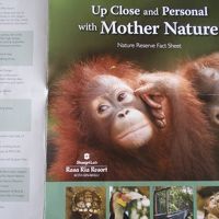 アクティビティのパンフレット