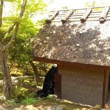 水車が回ります。この横にある飛び石を渡って進みます