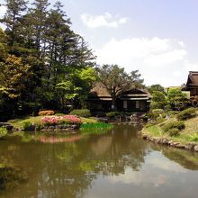 後園の池を反対側から