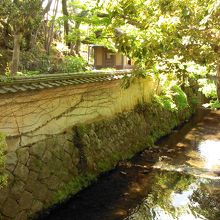 依水園の横にも庭園（吉城園）があるそうです