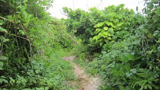 プライベートな時間を満喫できる海♪