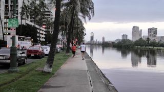 アラワイ運河　朝の散歩道