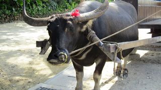 のんびり～癒されます★