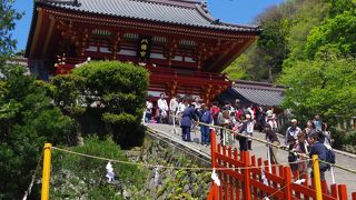 ご神木が倒れて