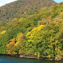 湖のなかにある中島の紅葉