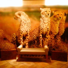 入口にある巨大なチーターの写真というか「壁」