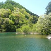 桜が満開でした。