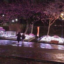 花見の時期には、公園の外周はライトアップされます。
