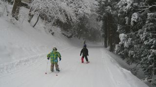 ファミリーも楽しめる！