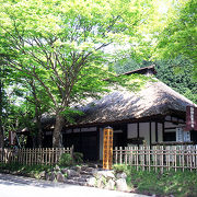 江戸時代、箱根旧街道を旅した人々の当時の様子が良くわかる博物館です。