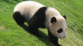 親子三世代で楽しめました