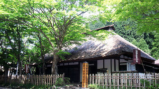 江戸時代、箱根旧街道を旅した人々の当時の様子が良くわかる博物館です。