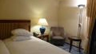 ヒルトン アムステルダム エアポート スキポール