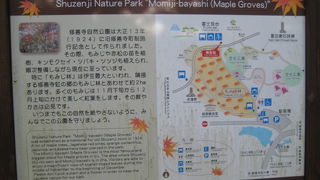 11月はまだ早い