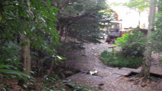 崖下に湧水があります