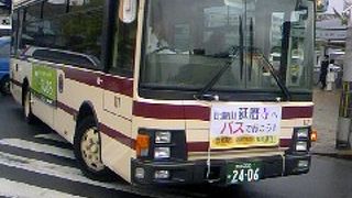 市バスは緑、京都バスは茶色