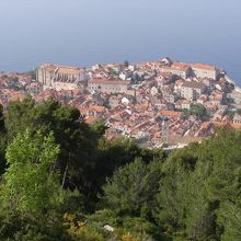 中腹からの眺め