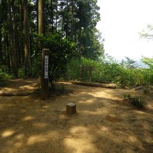 仙元山頂上付近