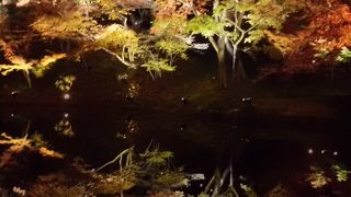 紅葉ライトアップは信じられない美しさ