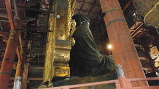 何度見ても壮大さに感動する、大仏様
