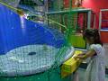 浜松科学館