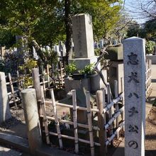 忠犬ハチ公と飼主上野先生の墓