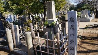 墓マイラーの聖地　青山霊園には、歴史に名を残した数多くの偉人たちが眠っています。
