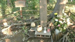 知らないと通り過ぎてしまう！