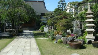 睡蓮鉢にメダカが・・。勢至丸様像初めて・・