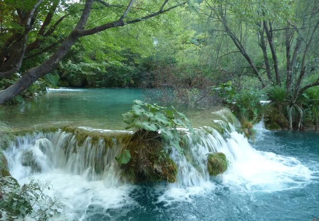 プリトヴィッツェ湖群国立公園 クチコミ アクセス 営業時間 その他の都市 フォートラベル