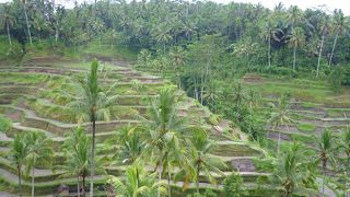 日本の棚田と同じ？