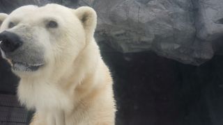 ありきたりですが、楽しい