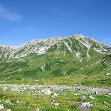 立山 (立山連峰)