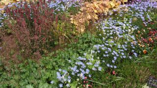 まさに都会のオアシスです