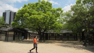 入場有料ですが、なぜか12:00～13:00は無料でした