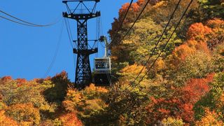紅葉の中を空中散歩