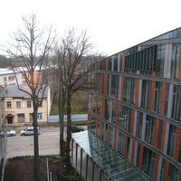 部屋から中庭を望む。