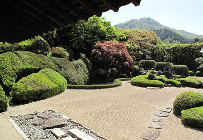 美しい頼久寺庭園