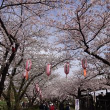 写真では分からないですが寒い