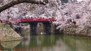 弘前城桜まつり