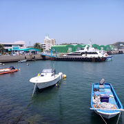 のどかで静かな港。名鉄河和駅からも近いので便利。