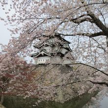 弘前城をバックに下乗橋付近で