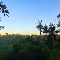 お部屋のサラからの景色